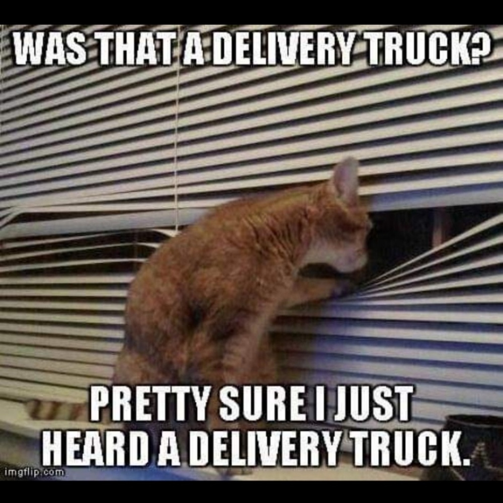 Fast shipper